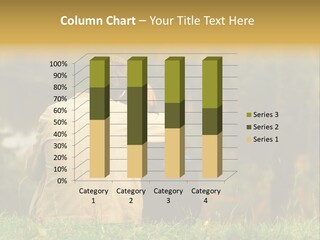 Sweet Couple Sitting On A Hill And Looking At The Autumn Landscape PowerPoint Template