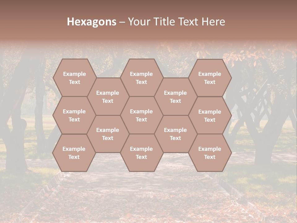 Autumn In Public Garden. Young Couple On A Path PowerPoint Template