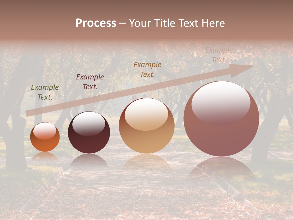 Autumn In Public Garden. Young Couple On A Path PowerPoint Template