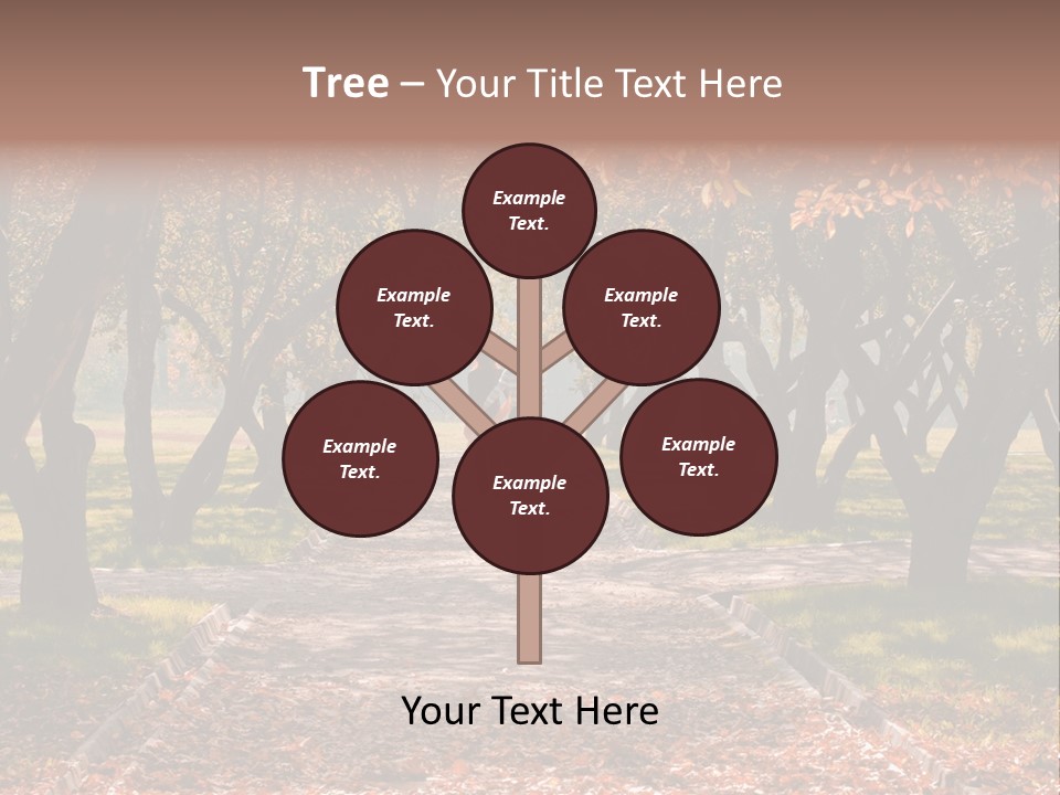 Autumn In Public Garden. Young Couple On A Path PowerPoint Template