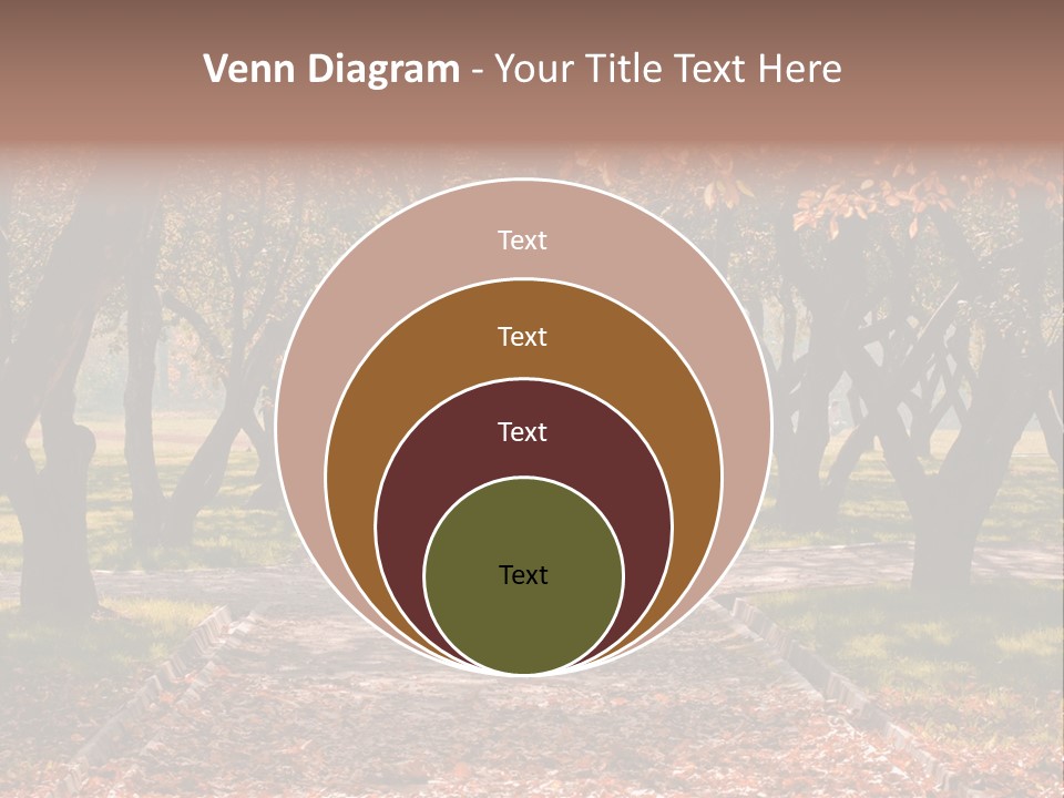 Autumn In Public Garden. Young Couple On A Path PowerPoint Template