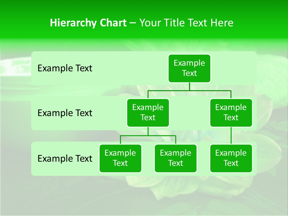 Abstract Green Cream And Towel With Flowers PowerPoint Template