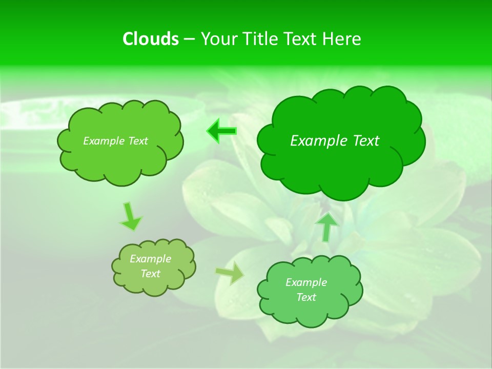 Abstract Green Cream And Towel With Flowers PowerPoint Template