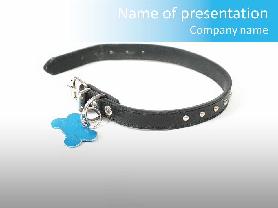 A Dog Collar With An Id Tag On It PowerPoint Template