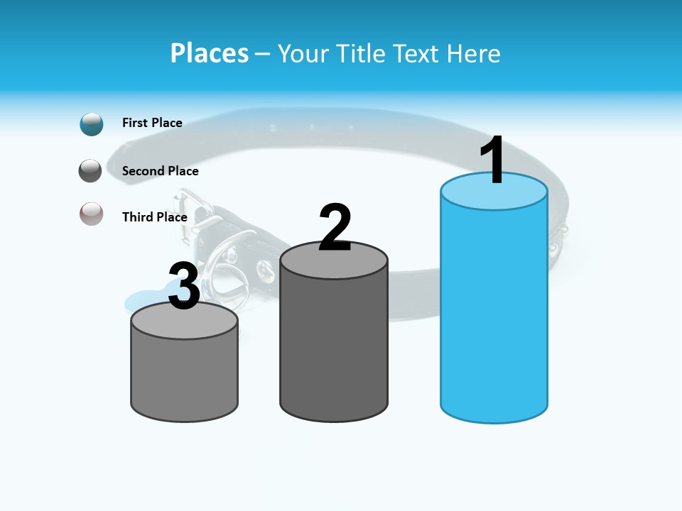 A Dog Collar With An Id Tag On It PowerPoint Template