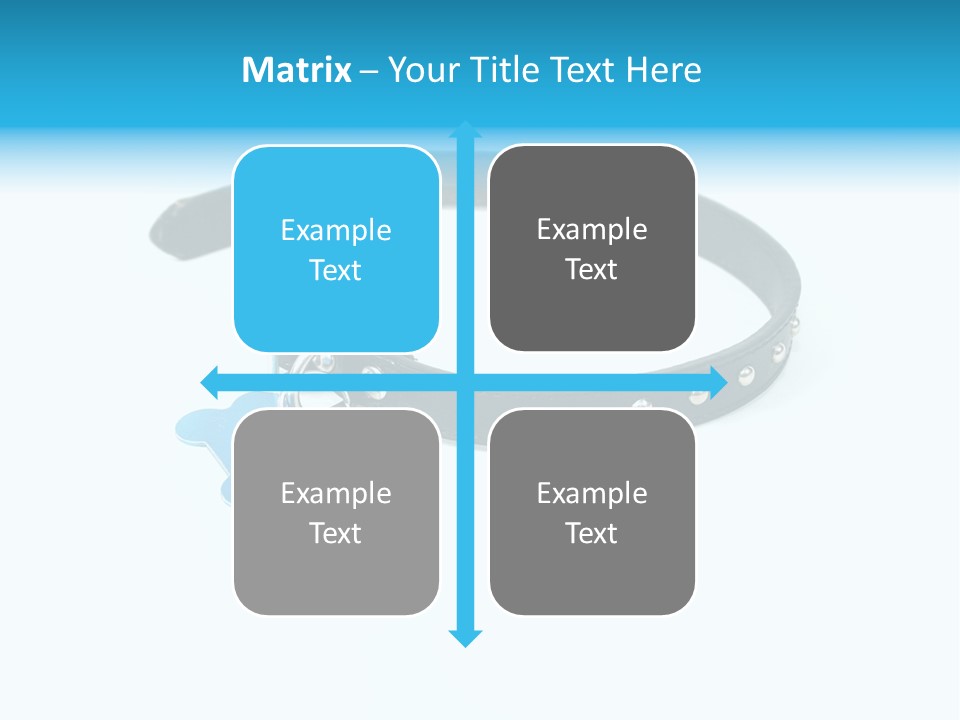 A Dog Collar With An Id Tag On It PowerPoint Template