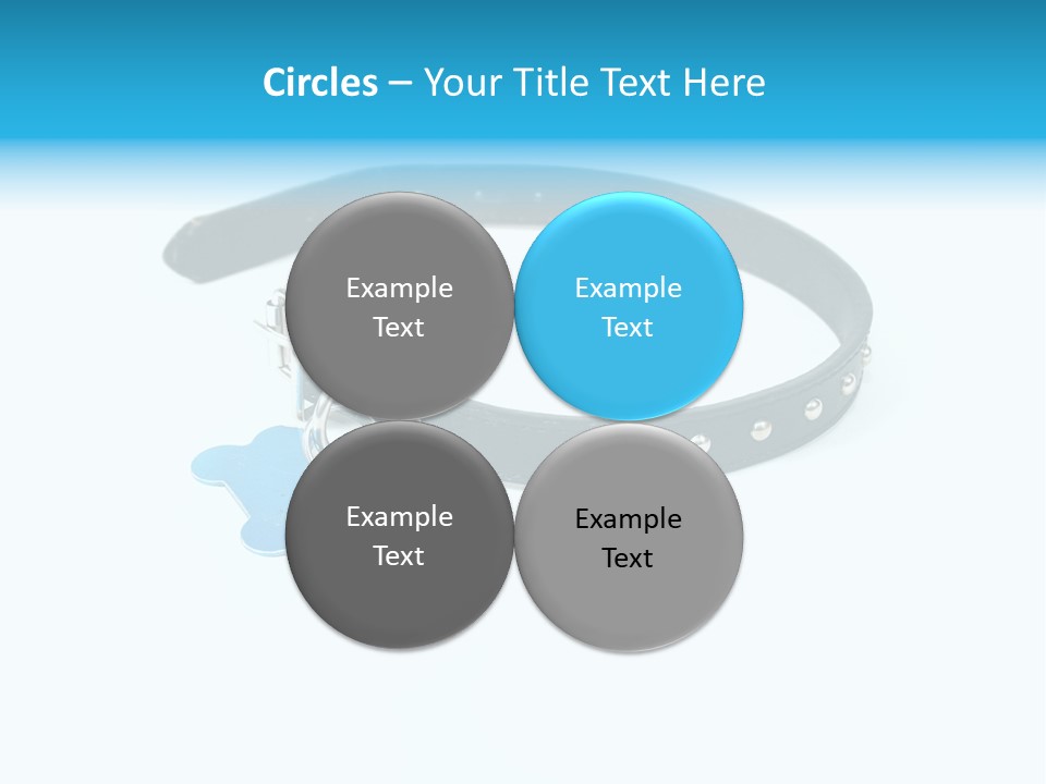 A Dog Collar With An Id Tag On It PowerPoint Template