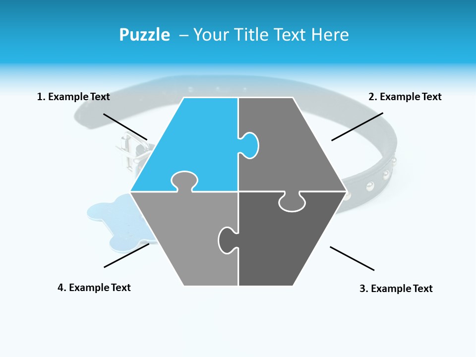 A Dog Collar With An Id Tag On It PowerPoint Template