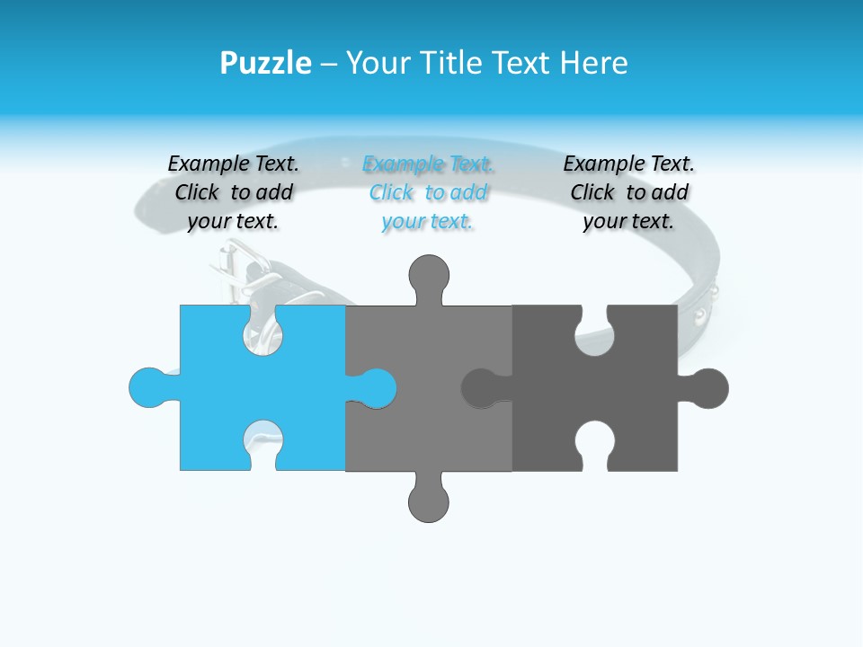 A Dog Collar With An Id Tag On It PowerPoint Template