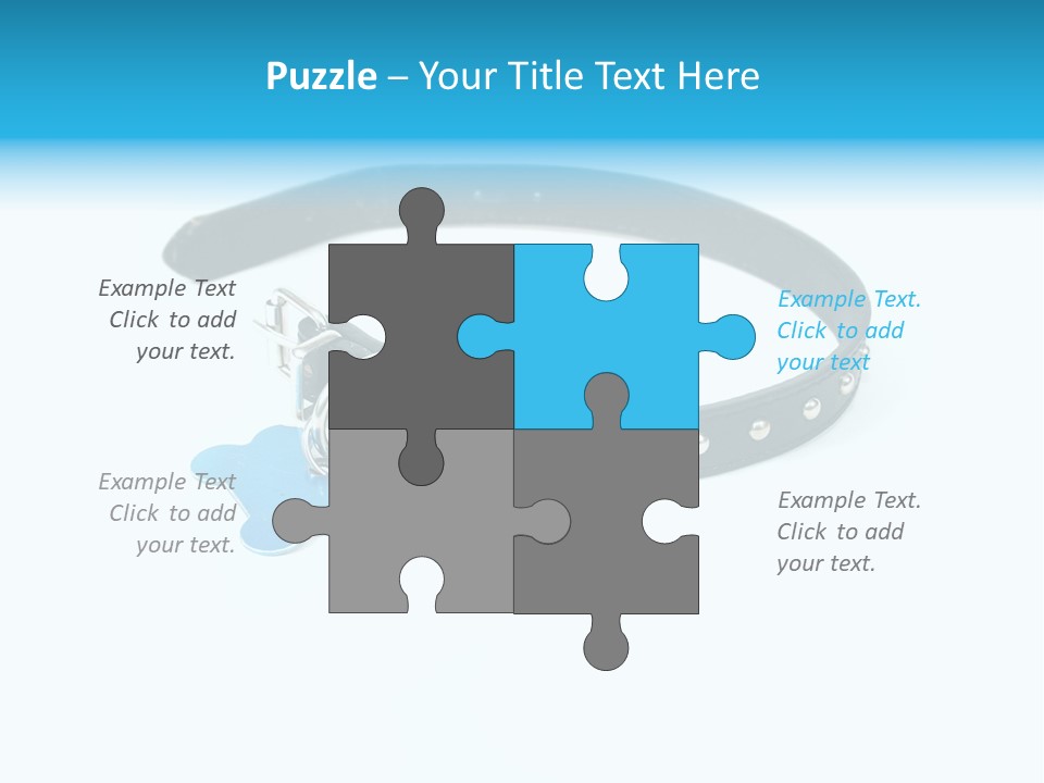 A Dog Collar With An Id Tag On It PowerPoint Template