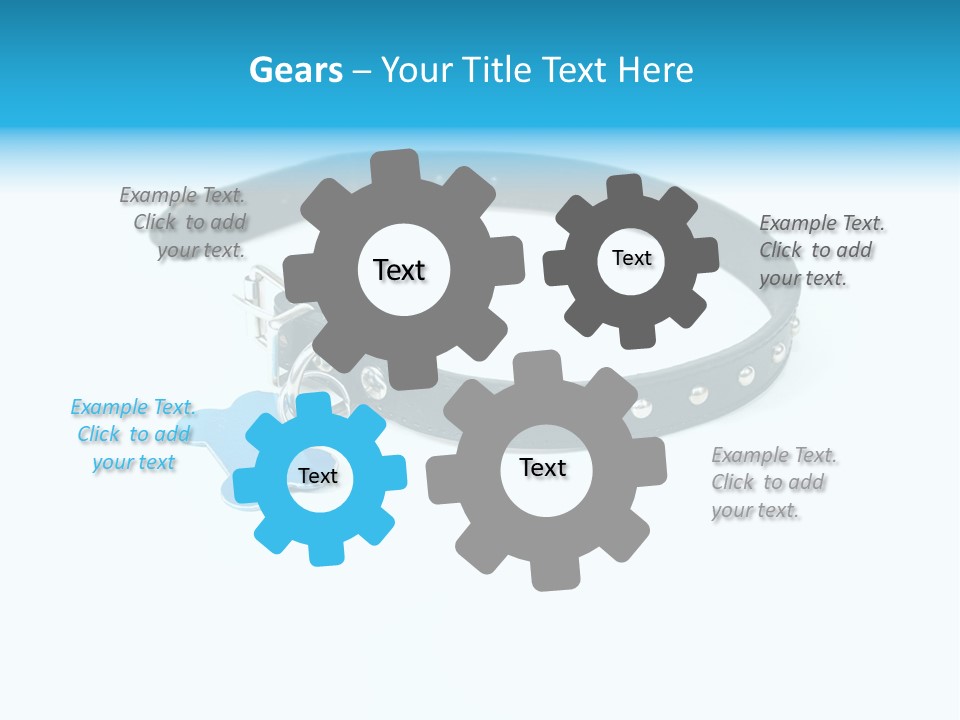 A Dog Collar With An Id Tag On It PowerPoint Template