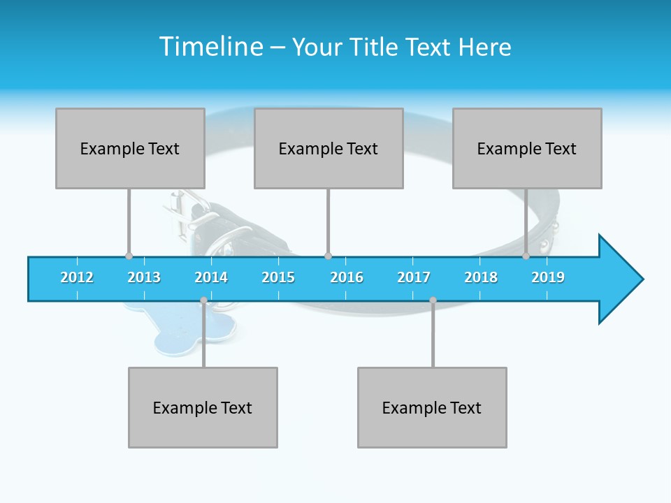 A Dog Collar With An Id Tag On It PowerPoint Template