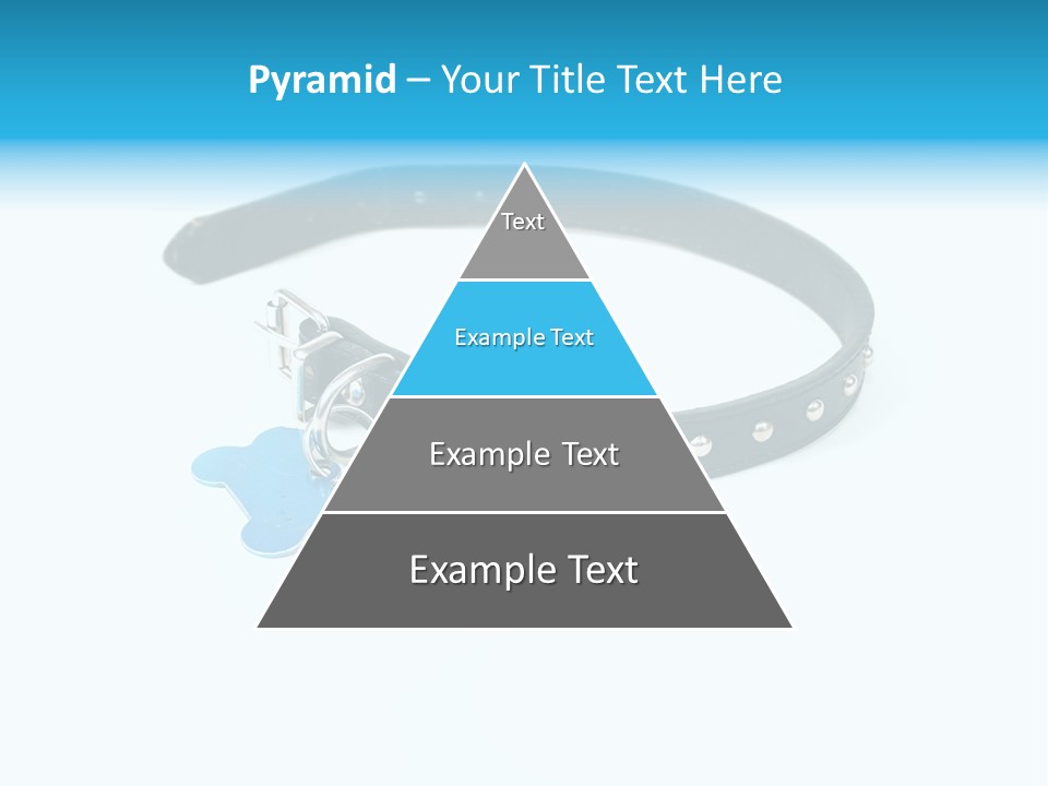 A Dog Collar With An Id Tag On It PowerPoint Template