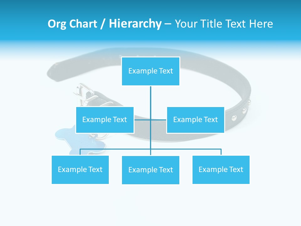 A Dog Collar With An Id Tag On It PowerPoint Template