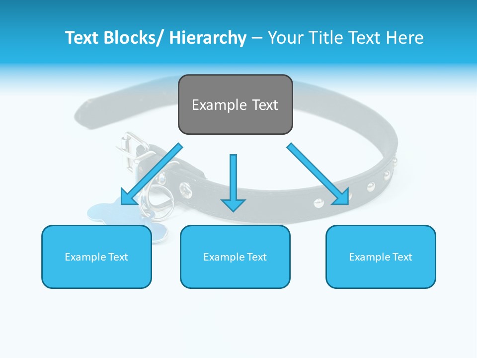 A Dog Collar With An Id Tag On It PowerPoint Template