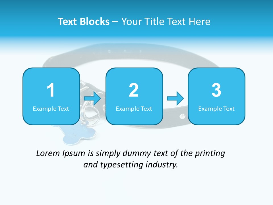 A Dog Collar With An Id Tag On It PowerPoint Template