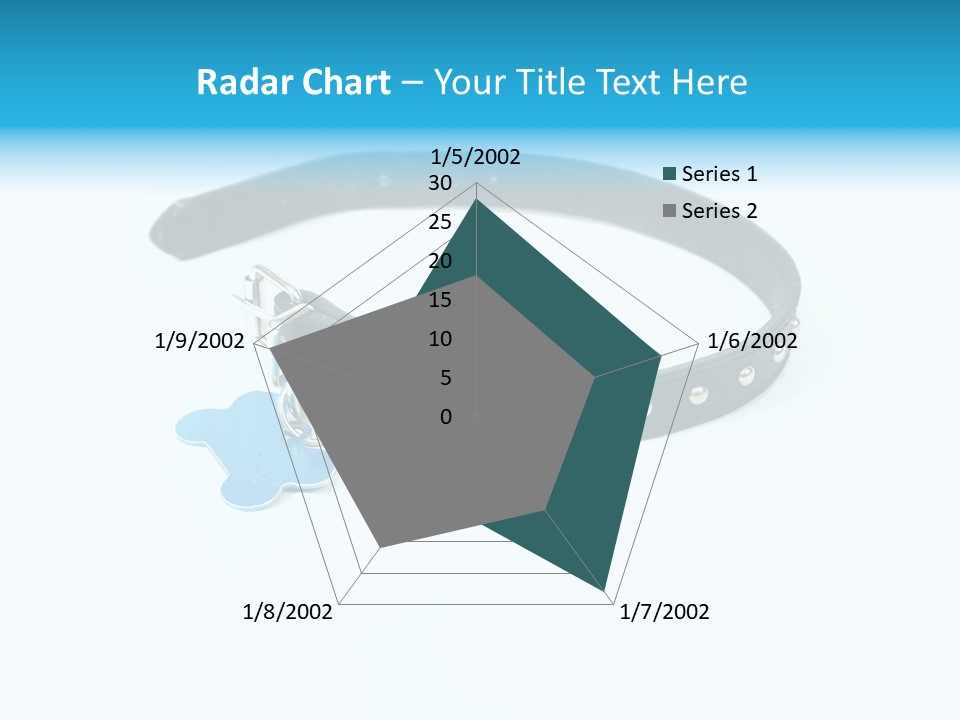 A Dog Collar With An Id Tag On It PowerPoint Template