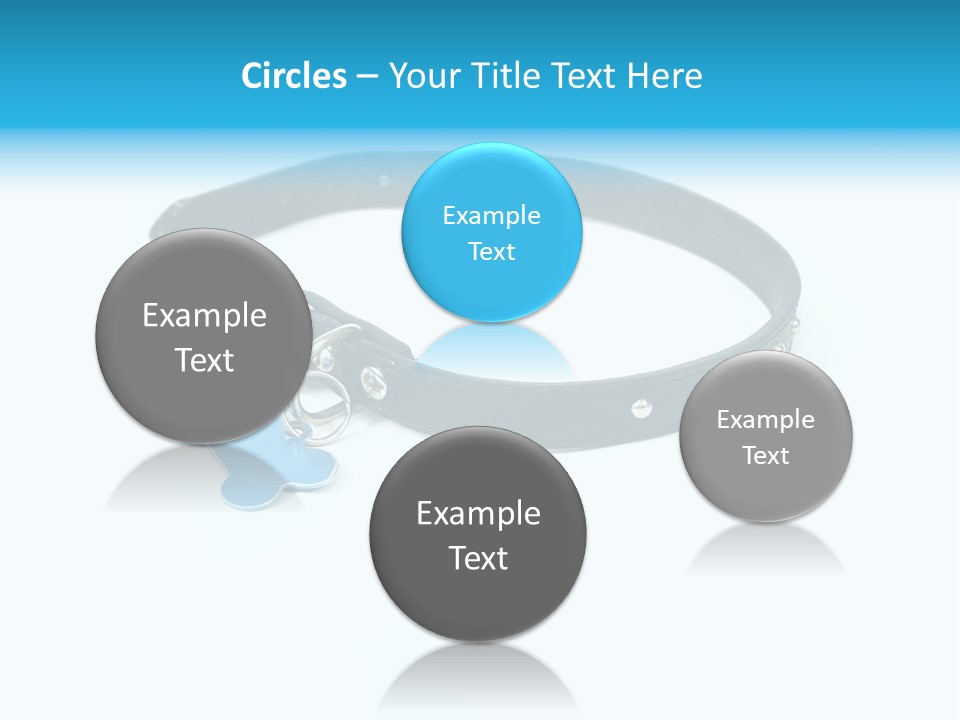 A Dog Collar With An Id Tag On It PowerPoint Template