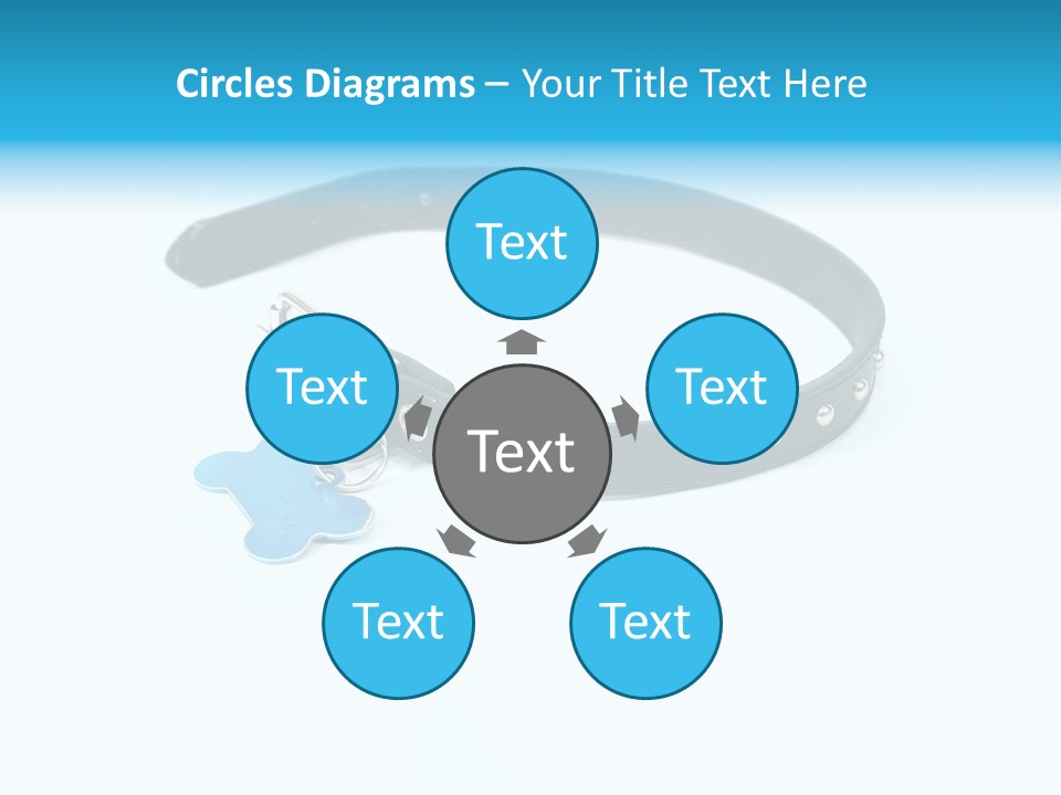 A Dog Collar With An Id Tag On It PowerPoint Template