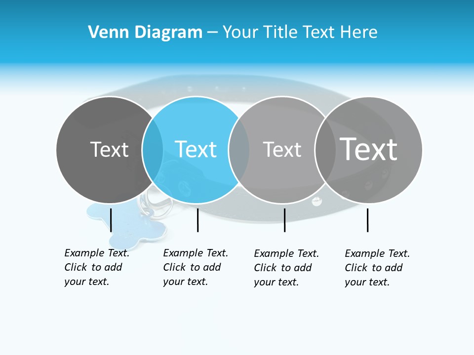 A Dog Collar With An Id Tag On It PowerPoint Template