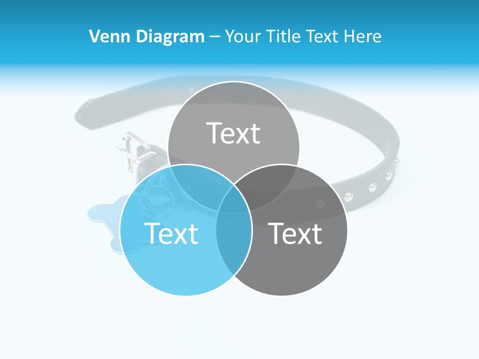 A Dog Collar With An Id Tag On It PowerPoint Template