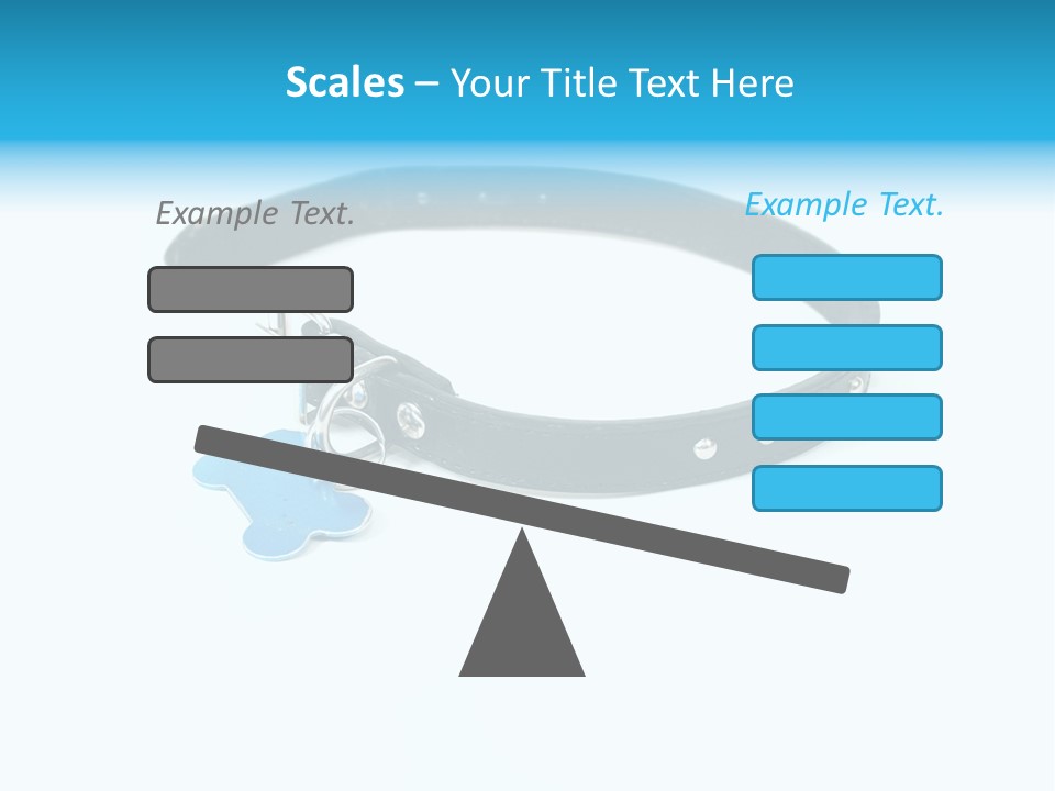 A Dog Collar With An Id Tag On It PowerPoint Template