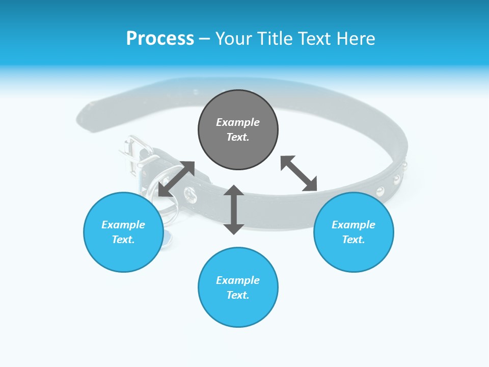 A Dog Collar With An Id Tag On It PowerPoint Template