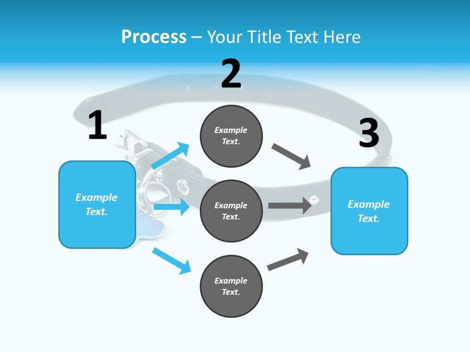 A Dog Collar With An Id Tag On It PowerPoint Template