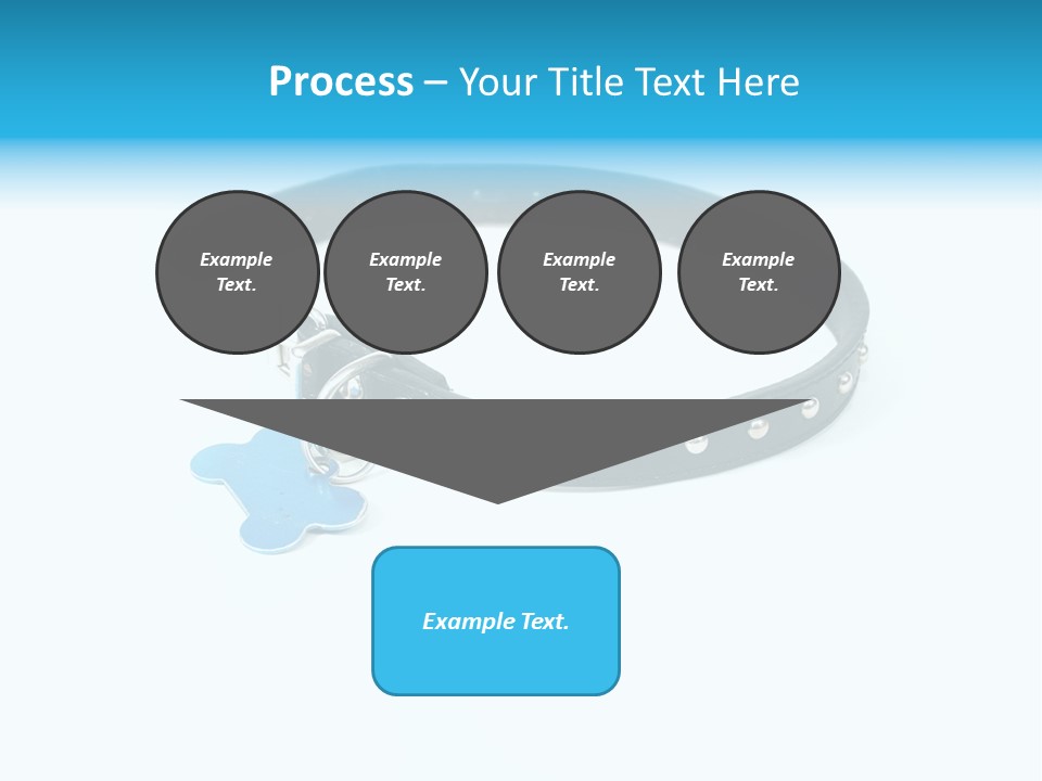 A Dog Collar With An Id Tag On It PowerPoint Template