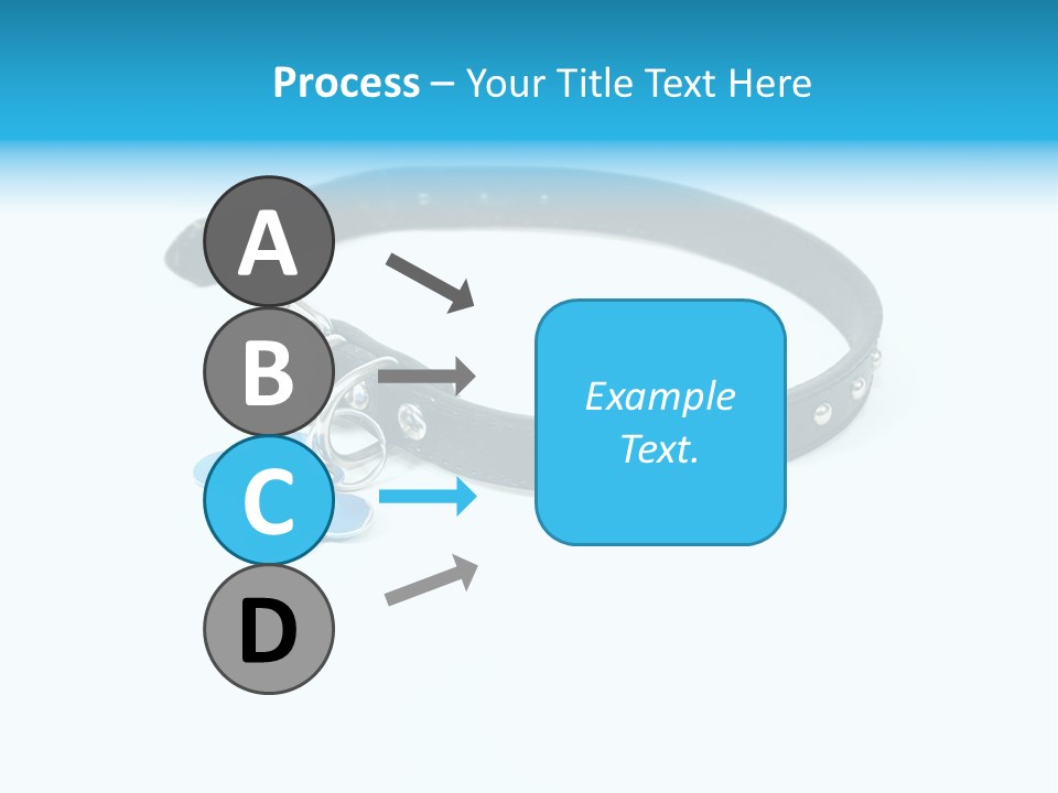 A Dog Collar With An Id Tag On It PowerPoint Template