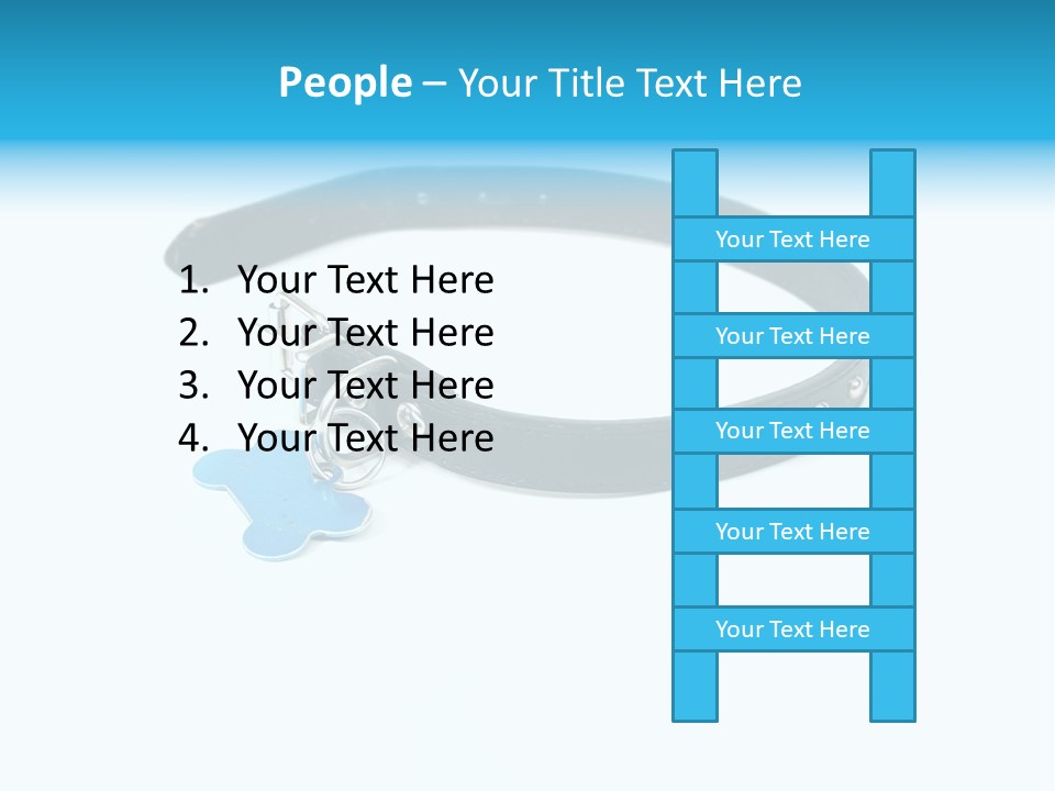 A Dog Collar With An Id Tag On It PowerPoint Template