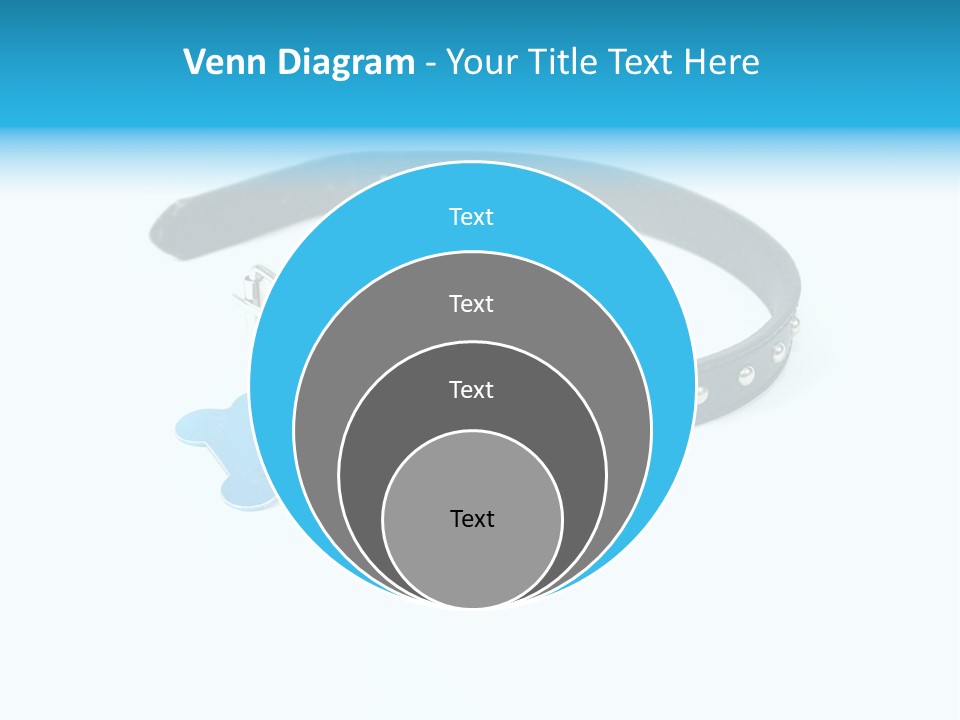 A Dog Collar With An Id Tag On It PowerPoint Template