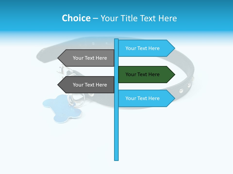 A Dog Collar With An Id Tag On It PowerPoint Template