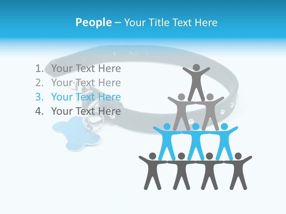 A Dog Collar With An Id Tag On It PowerPoint Template