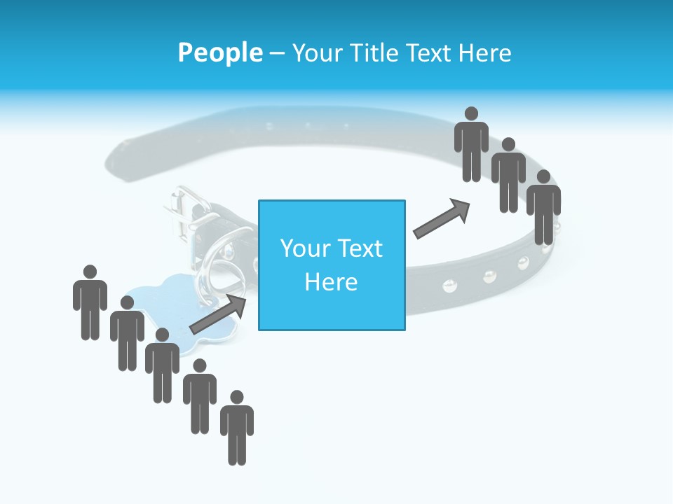 A Dog Collar With An Id Tag On It PowerPoint Template