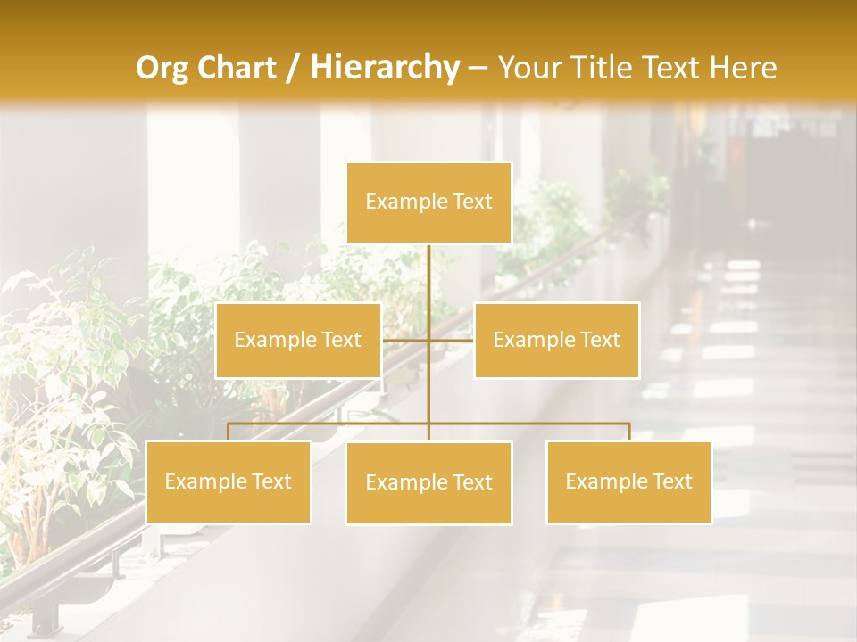 Hospital Corridor Leading To A Reception Area PowerPoint Template