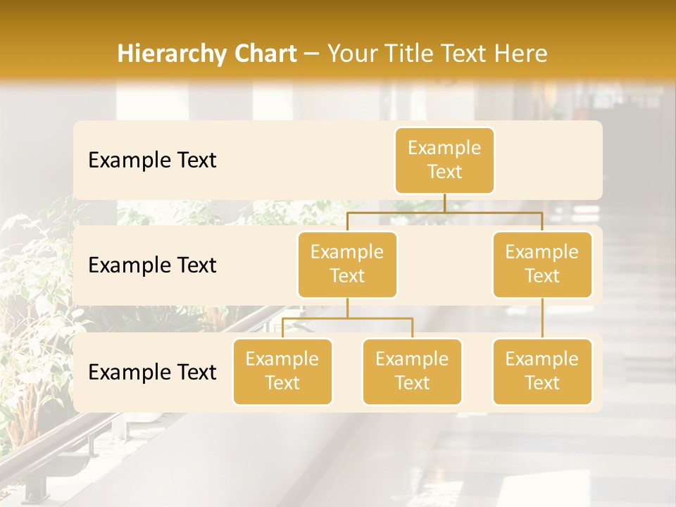 Hospital Corridor Leading To A Reception Area PowerPoint Template