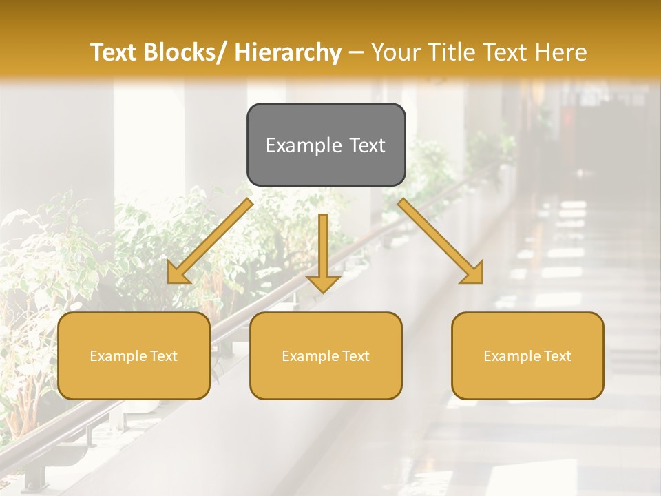 Hospital Corridor Leading To A Reception Area PowerPoint Template