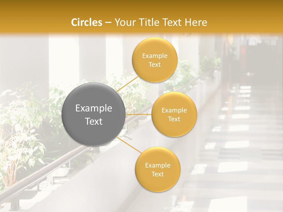 Hospital Corridor Leading To A Reception Area PowerPoint Template