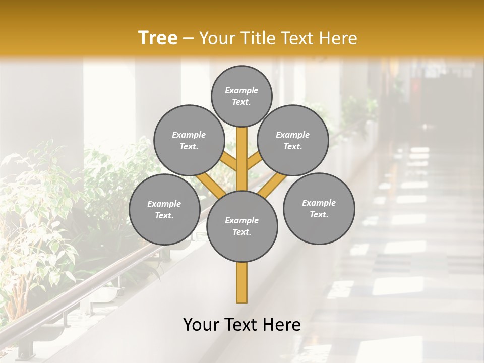 Hospital Corridor Leading To A Reception Area PowerPoint Template