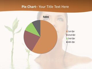 Picture Of Lovely Brunette With Bamboo In Water PowerPoint Template