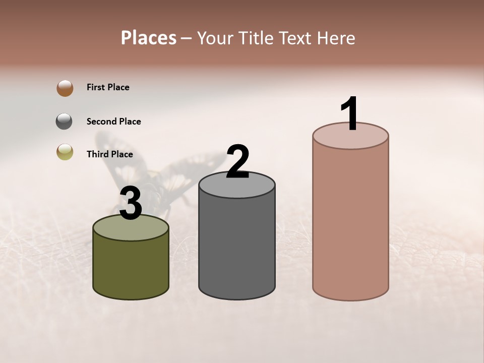 Big Nasty Fly Biting In Human Skin PowerPoint Template