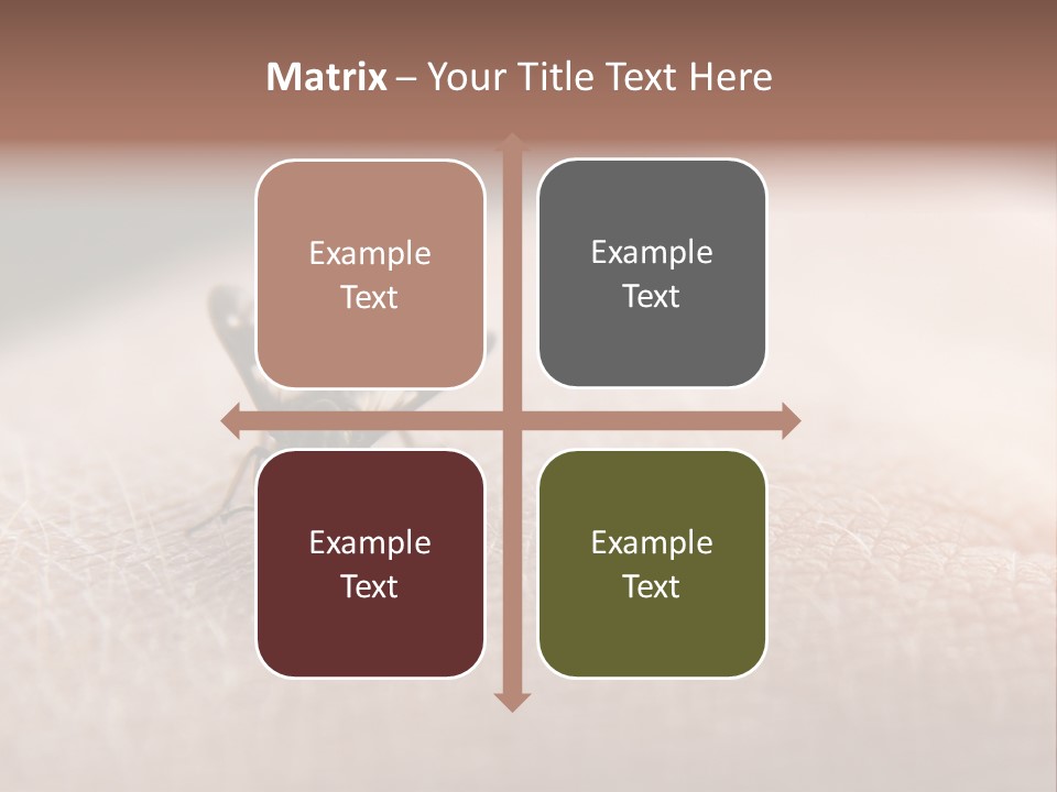 Big Nasty Fly Biting In Human Skin PowerPoint Template
