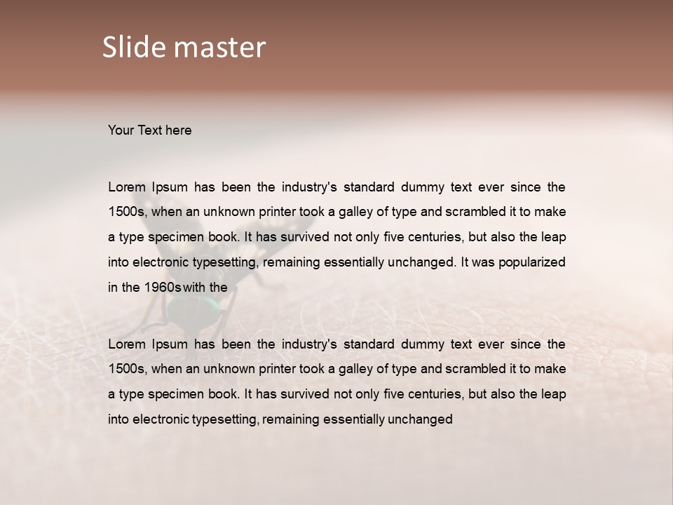 Big Nasty Fly Biting In Human Skin PowerPoint Template