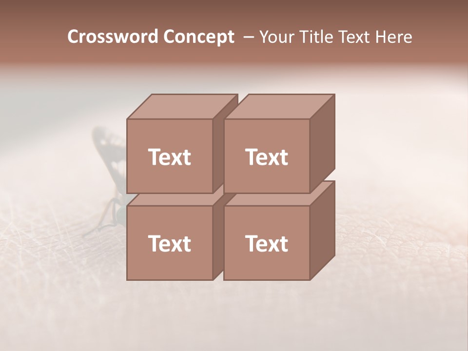 Big Nasty Fly Biting In Human Skin PowerPoint Template