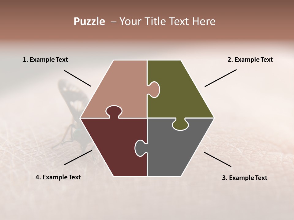 Big Nasty Fly Biting In Human Skin PowerPoint Template