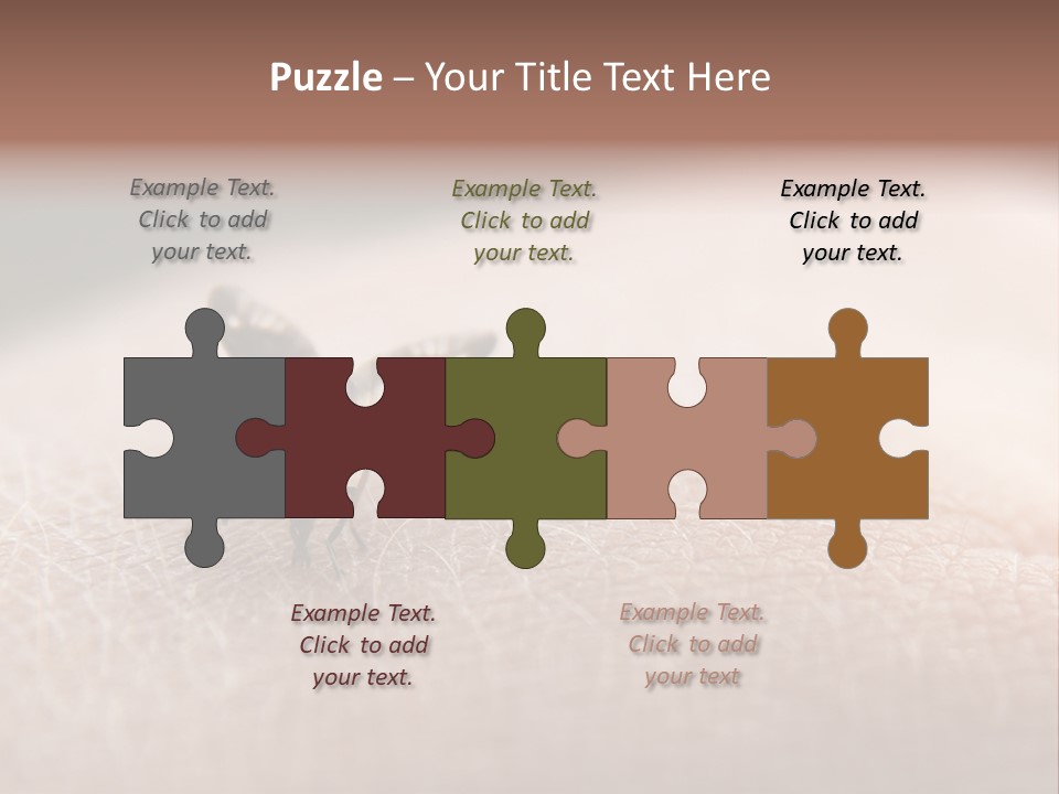 Big Nasty Fly Biting In Human Skin PowerPoint Template