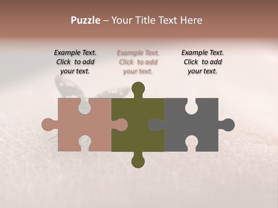 Big Nasty Fly Biting In Human Skin PowerPoint Template