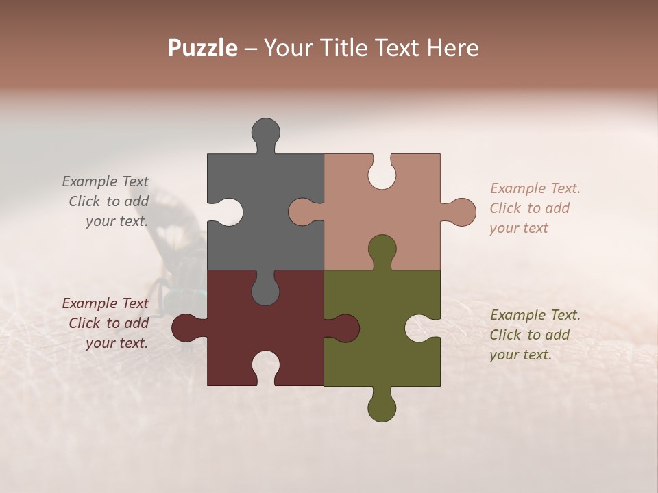 Big Nasty Fly Biting In Human Skin PowerPoint Template