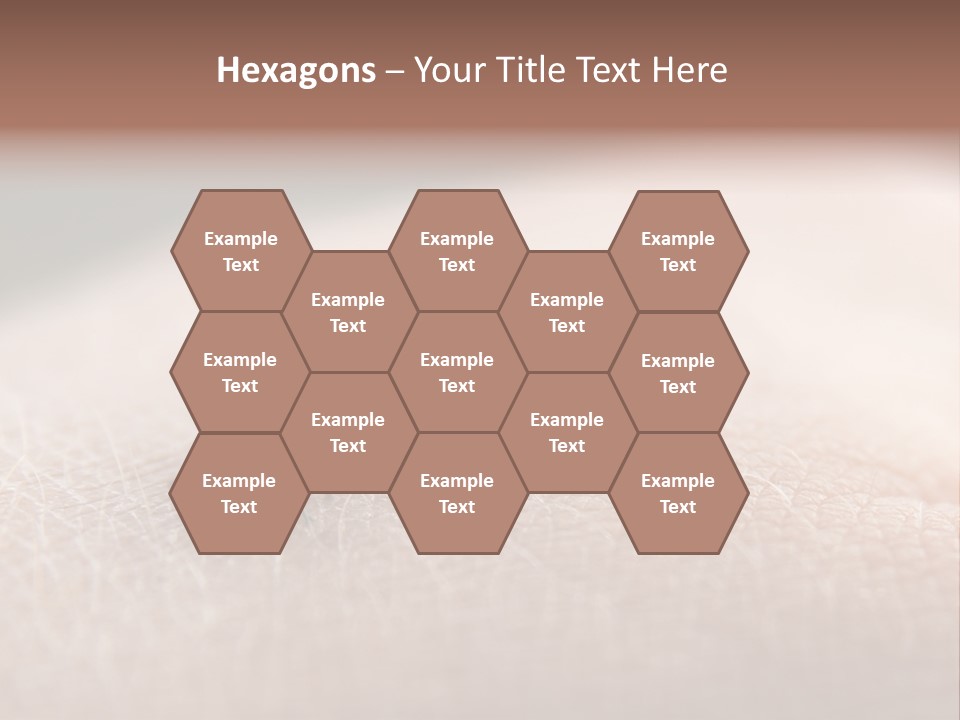 Big Nasty Fly Biting In Human Skin PowerPoint Template